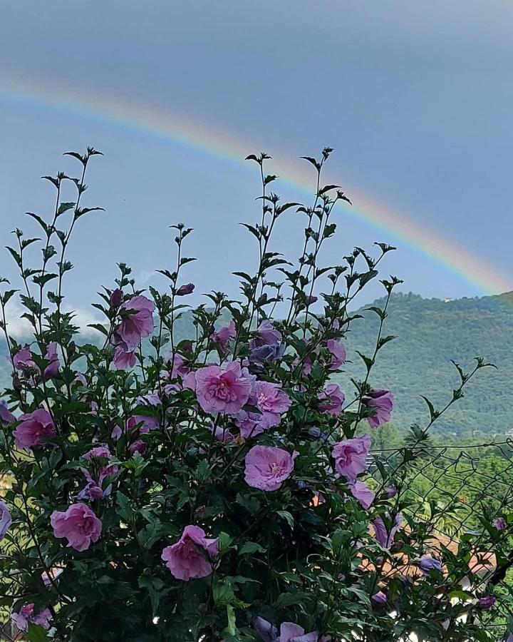 Casa Arcobaleno Hotel Cornaredo Bagian luar foto